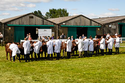 2018-06 Lincolnshire Show
 Hero
