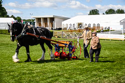 2018-06 Lincolnshire Show
 Hero
