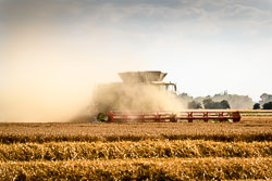 2018-08 Harvest
 Hero