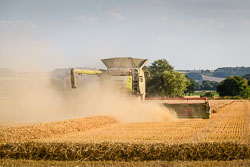 ag201808050308.jpg