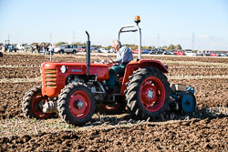 2018-09 Flintham Show
 Hero