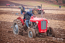 ag201811250325.jpg