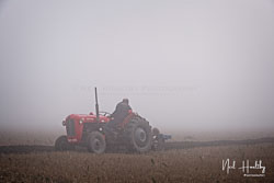 ag20190224022.jpg