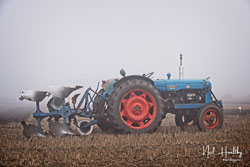 ag20190224030.jpg