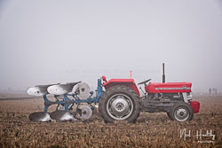 ag20190224031.jpg