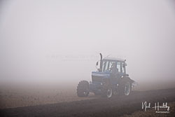 ag20190224035.jpg