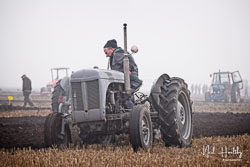 ag20190224053.jpg