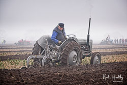 ag20190224066.jpg
