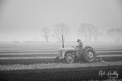 ag20190224068.jpg