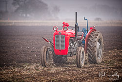ag20190224215.jpg