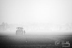 ag20190224246.jpg