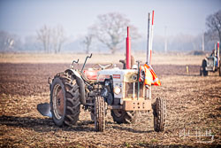 ag20190224255.jpg