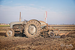 ag20190217019.jpg