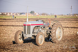 ag20190217039.jpg