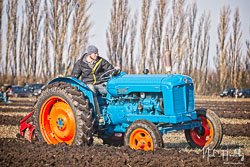 ag20190217178.jpg