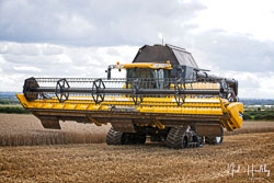 2019-08 Rachel's Harvest
 Hero