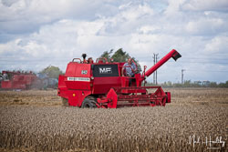 ag201908180335.jpg