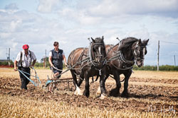 2019-08 Rachel's Harvest
 Hero