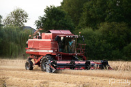 ag202008090015.jpg