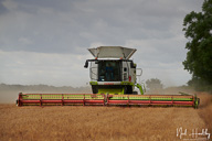 ag202008230028.jpg