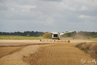 ag202008230104.jpg