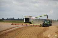 ag202008230107.jpg