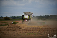 2020 Harvest
 Hero