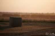 ag202009010161-1.jpg