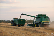 ag202009010256.jpg