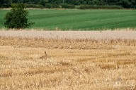 ag202108230253.jpg