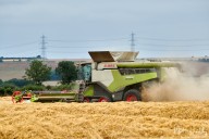 2021-08 Harvest
 Hero