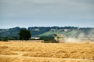 ag202108250207.jpg