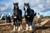 2021-10 Deeping District Agricultural Society
 Hero