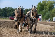 2024-09 Collingham Show
 Hero