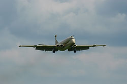 a000546.jpg