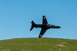 a003736.jpg