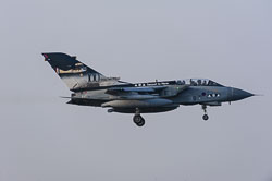 a013450.jpg