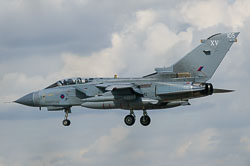 a017303.jpg