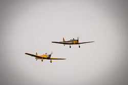 a201809220442.jpg