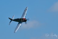 m2024620360.jpg