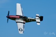 m2024620797.jpg
