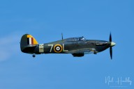 m2024620858.jpg