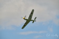 m20247270493.jpg