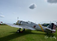 m20255310152.jpg