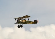 m20255310397.jpg