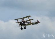 m20255310489.jpg