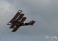 m20255310491.jpg