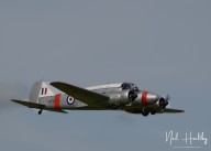 m20255310998.jpg
