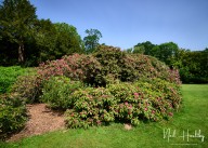 m20255310036.jpg
