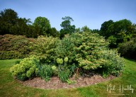 m20255310043.jpg